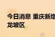今日消息 重庆新增本土无症状感染者1例 九龙坡区
