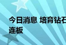 今日消息 培育钻石板块持续拉升 亚振家居3连板