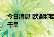 今日消息 欧盟称欧洲或遭遇500年来最严重干旱