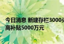今日消息 新建存栏3000头以上大型奶牛养殖场 黑龙江省最高补贴5000万元