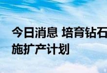 今日消息 培育钻石上市公司业绩亮眼 多家实施扩产计划
