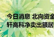 今日消息 北向资金今日净卖出46.13亿元 国轩高科净卖出额居首