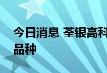 今日消息 荃银高科：已育成耐高温的材料及品种
