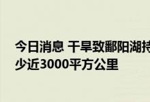 今日消息 干旱致鄱阳湖持续“缩水” 水域面积较丰水期减少近3000平方公里