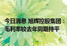 今日消息 旭辉控股集团：预计上半年净利润15亿元-22亿元 毛利率较去年同期持平