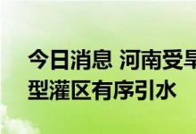 今日消息 河南受旱面积超1000万亩 各大中型灌区有序引水
