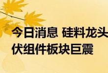 今日消息 硅料龙头通威发力下游组件 引发光伏组件板块巨震