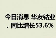 今日消息 华友钴业：上半年净利润22.56亿元，同比增长53.6%