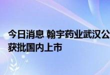 今日消息 翰宇药业武汉公司新增“醋酸去氨加压素”原料药获批国内上市