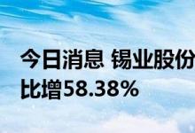 今日消息 锡业股份：上半年净利15.2亿元 同比增58.38%