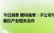 今日消息 朗玛信息：子公司与“一带一路”沿线国家开展血糖仪产业相关合作