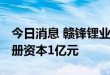 今日消息 赣锋锂业投资成立动力科技公司 注册资本1亿元