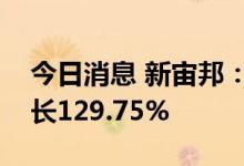 今日消息 新宙邦：上半年实现净利润同比增长129.75%