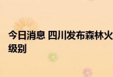 今日消息 四川发布森林火险红色预警部分地区将达极度危险级别