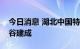 今日消息 湖北中国特种飞行器研发中心在光谷建成