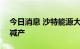 今日消息 沙特能源大臣暗示“欧佩克+”或减产