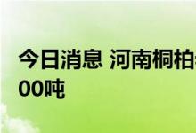 今日消息 河南桐柏老湾金矿金资源量预计超500吨