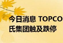 今日消息 TOPCON电池概念股开盘下挫 皇氏集团触及跌停