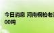 今日消息 河南桐柏老湾金矿金资源量预计超500吨