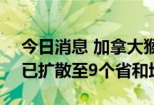 今日消息 加拿大猴痘确诊病例超过1200例 已扩散至9个省和地区