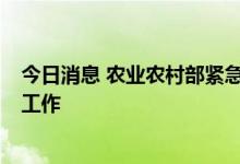 今日消息 农业农村部紧急部署今年第9号台风“马鞍”防御工作