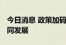 今日消息 政策加码 力促光伏产业链供应链协同发展