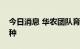 今日消息 华农团队育成龙眼与荔枝杂交新品种