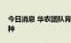 今日消息 华农团队育成龙眼与荔枝杂交新品种