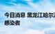 今日消息 黑龙江哈尔滨新增6例新冠病毒阳性感染者