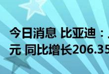 今日消息 比亚迪：上半年实现净利润35.95亿元 同比增长206.35%