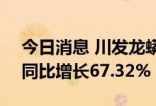 今日消息 川发龙蟒：上半年净利7.88亿元，同比增长67.32%