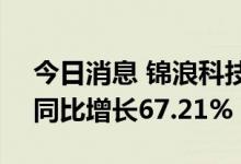 今日消息 锦浪科技：上半年净利3.98亿元，同比增长67.21%