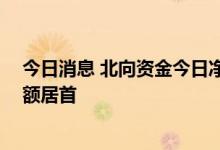 今日消息 北向资金今日净买入21.45亿元  万华化学净买入额居首