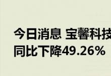 今日消息 宝馨科技：上半年净利1605万元，同比下降49.26%