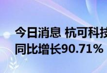 今日消息 杭可科技：上半年净利2.41亿元，同比增长90.71%