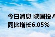 今日消息 陕国投Ａ：上半年净利4.66亿元，同比增长6.05%