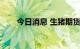 今日消息 生猪期货主力合约跌超3%