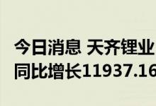 今日消息 天齐锂业：上半年净利103.28亿元 同比增长11937.16%