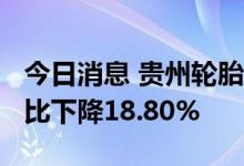 今日消息 贵州轮胎：上半年净利1.6亿元，同比下降18.80%