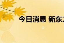 今日消息 新东方美股盘前涨超5%
