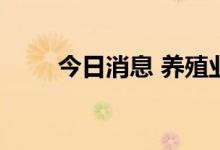 今日消息 养殖业板块午后持续拉升