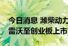 今日消息 潍柴动力：拟分拆控股子公司潍柴雷沃至创业板上市