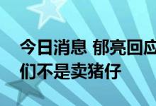 今日消息 郁亮回应万物云上市时机不佳：我们不是卖猪仔