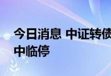 今日消息 中证转债低开0.06%，中陆转债盘中临停