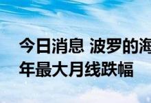 今日消息 波罗的海干散货运价指数录得逾两年最大月线跌幅