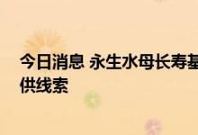 今日消息 永生水母长寿基因揭示 为治疗与衰老相关疾病提供线索
