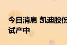 今日消息 凯迪股份：光伏支架产品目前正在试产中