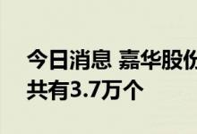 今日消息 嘉华股份：IPO网上发行中签号码共有3.7万个
