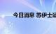 今日消息 苏伊士运河航道暂停通航