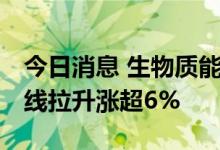 今日消息 生物质能发电异动拉升 天源环保直线拉升涨超6%